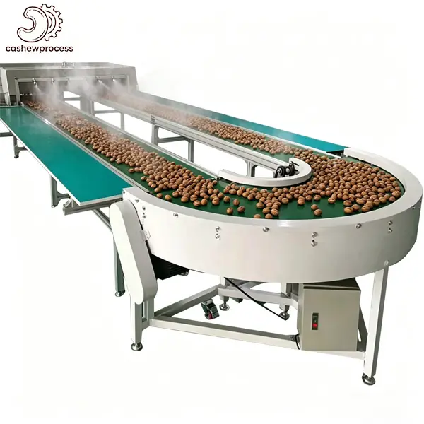 Cashew Cooling Machine — Rapid Air-Blast Conveyor After Steaming