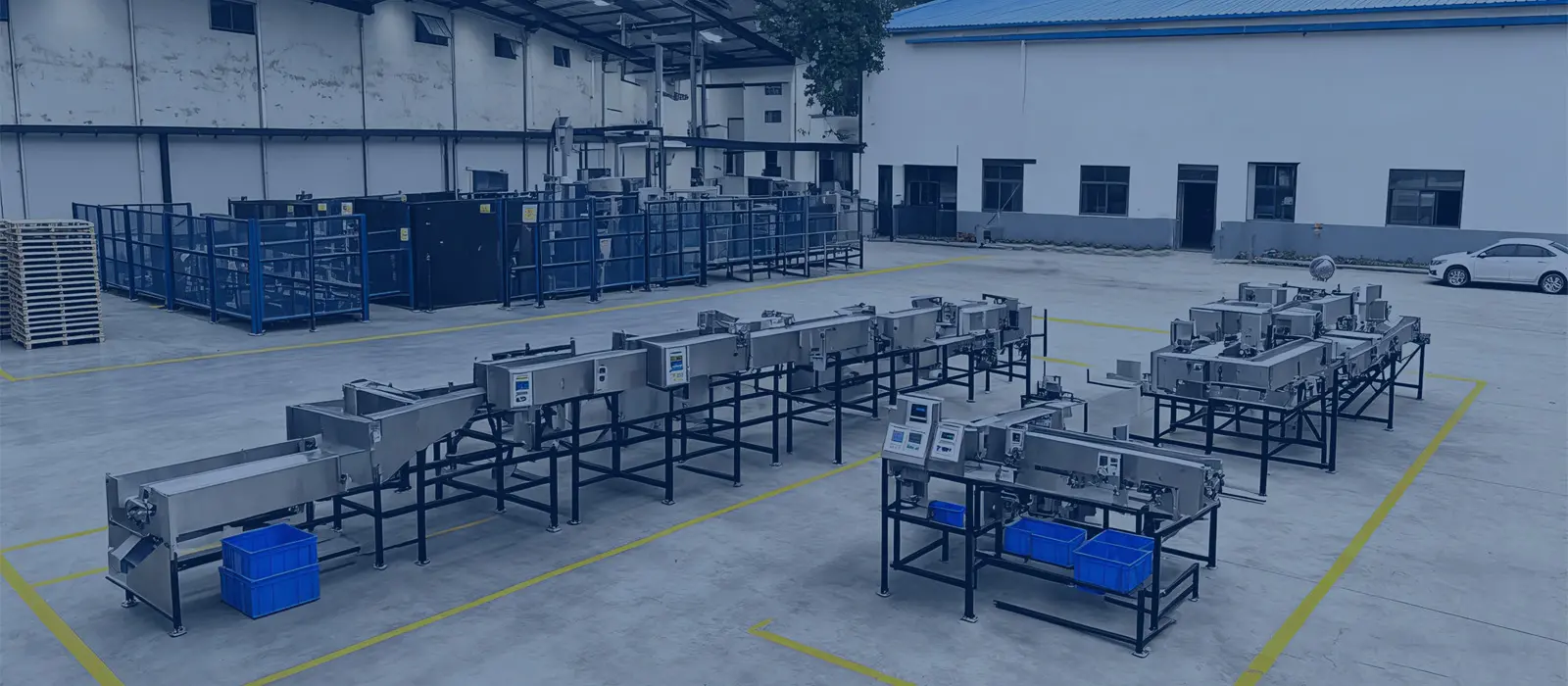 Cashew Processing Machine Manufacturer