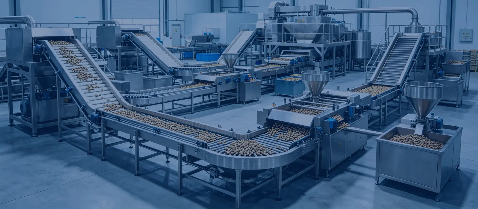 Complete Cashew Processing Plant Solutions